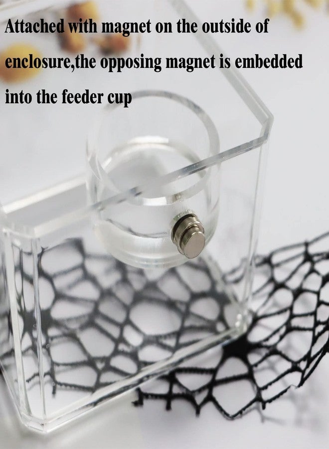 JILINWEI Small Jumping Spider Feeding Dish, Magnetic Tiny Food Dishes Water Dish for Jumping Spider, Tarantula and Other Small Pets,35mm, Clear - Image 5